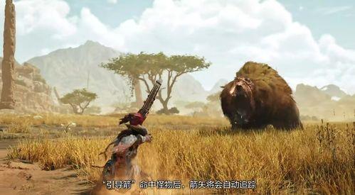 荒野兄弟爆料视频,独家爆料带你探秘野外生存秘籍  第1张